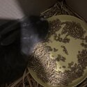 Three 3 Month Old Rabbits-1