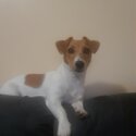 JRT an items need rehoming -0