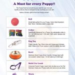 Puppy Starter Pack Flyer