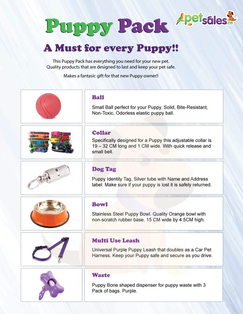 Puppy Starter Pack Flyer